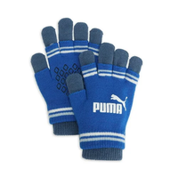 【SALE／30%OFF】PUMA ユニセックス プーマ キャット フィンガーレス グローブ IV プーマ スポーツ・アウトドア用品 その他のスポーツ・アウトドア用品