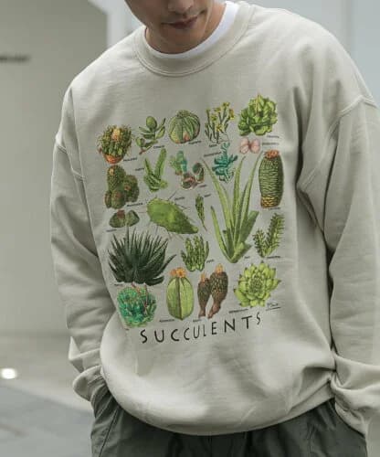 AMERICAN RAG CIE ATLAS SCREEN PRINTING SUCCULENTSスウェット