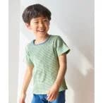 tシャツ Tシャツ 「KIDS」リンクコーデ/マルチボーダーリンガーTシャツ キッズ