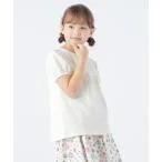 tシャツ Tシャツ SHIPS KIDS:100〜130cm / ジャカード パフ スリーブ TEE キッズ