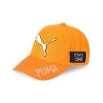 帽子 ベレー帽 PUMA プーマ メンズ ゴルフ ツアー パフォーマンス キャップ メンズ