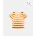 tシャツ Tシャツ 「KIDS」「Champion/チャンピオン」BASIC BORDER JERSEY キッズ