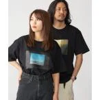 tシャツ SHIPS: Sheila Rock HOTEL フォト プリント Tシャツ メンズ レディース