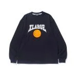 tシャツ TEAM LOGO L/S TEE メンズ レディース